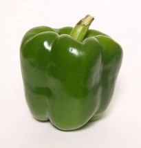 USA Sweet Green Bell Pepper California Wonder Capsicum Annuum 200 Seeds - £8.75 GBP