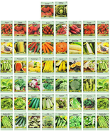 Black Duck Brand 50 Packs Assorted Heirloom Vegetable Seeds 20+ Varietie... - $43.23 CAD