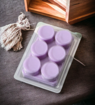 White Birch - 6 pc. Handpoured Soy Wax Melts - Fresh/Woody Scent! - £4.76 GBP+