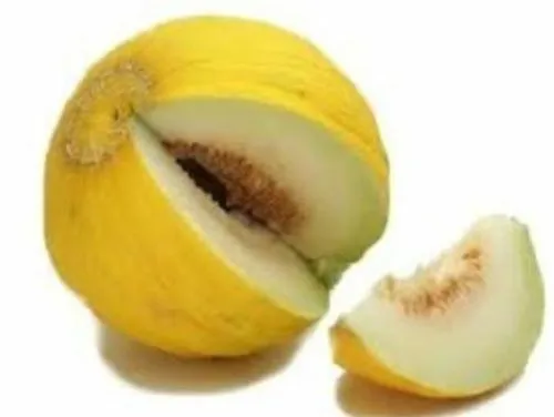 200 Melon Seeds Casaba Melon Garden - £10.25 GBP