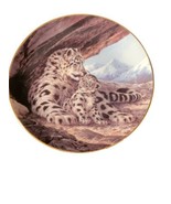 The Snow Leopard Last of Their Kind: Endangered Species Plate - Will Nel... - £12.37 GBP