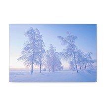 Frosty Trees At Dawn Beautiful Winter Canvas Wall Art for Home Decor Ready-to-H - £67.60 GBP+