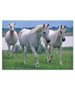 NEW MELISSA &amp; DOUG WHITE STALLIONS  100 PC PUZZLE - $14.20