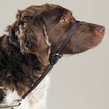 Gentle Leader Dog Head Collars - Training Stop Pulling Lunging Unwanted behavior - $37.51+