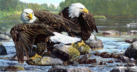 Art Giclee Printed Oil Painting Print American bald eagle catching fish Canvas - £8.13 GBP+