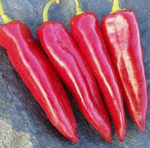 HSeeds 25 Seeds Italian Sweet Pepper Garden Vegetables Planting Edible Food - £4.02 GBP