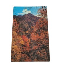 Postcard Fall Color Scene Heart Of Great Smoky Mountains National Park C... - $4.15