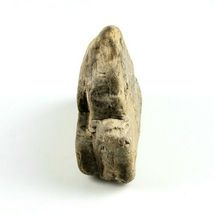 Petrified Wood Beam Fragment 1lb 2.4 oz 5" x 1.25" x 2.75” Stone Rock image 3