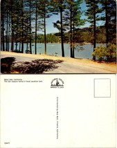 California San Joaquin Valley Bass Lake Fishing Boating Pine Trees VTG Postcard - £7.37 GBP