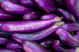 Eggplant Long Purple Seeds 200 Vegetable New Fresh Seeds - £3.27 GBP