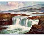 Celilo Falls Columbia River Oregon OR Raphael Tuck Oilette DB Postcard P19 - $7.87