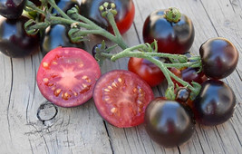 New Fresh 50 Seeds Tartufo Micro Dwarf Tomato Tomatoes Juicy Vegetable G... - $7.00