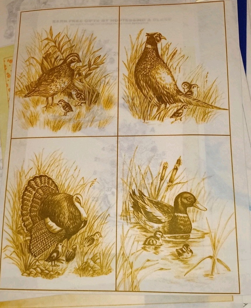 * TRI CHEM 0936 WILD BIRD WATCHER  Picture to Paint TRICHEM 4 Panels 6x8&quot; - $15.00
