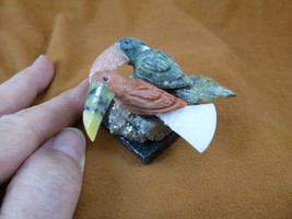 (Y-BIR-TO-473) pair of Toucans red + green love bird gemstone STONE gem ... - $334.80 MXN