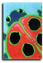Bright Ladybug Toland Art Banner - $24.00