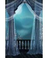 Fantasy/Romantic Balcony Digital Photo Print Vinyl Backdrop Big size 8&#39; ... - $470.20 MXN