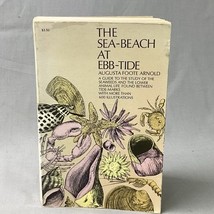 The Sea-Beach at Ebb-Tide by Augusta Foote Arnold 1968 Guide Seaweeds Il... - £10.51 GBP