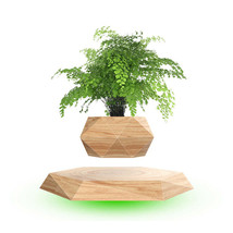 Magnetic Floating Bonsai Floating Plant Rack, Fashion Creative Gifts, Ch... - £350.97 GBP+