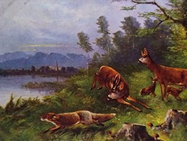 Deer Chasing Fox Postcard Wildlife Forest Lake Mountains Scenic Germany 1909 - £11.35 GBP
