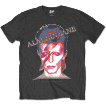 Grey David Bowie Aladdin Sane Rock Official Tee T-Shirt Mens Unisex - $31.92