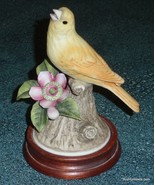 Canary Andrea by Sadek Porcelain Bird Figurine With Wood Base Made in Japan - £13.75 GBP