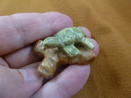 (Y-TUR-LA-108) baby GREEN serpentine gemstone Turtle FIGURINE branch carving - £7.58 GBP