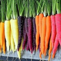 Seeds Rainbow Carrot Blend Mix, Seeds, Colorful, NON-GMO, Beta Carotene - £3.71 GBP