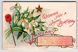 Birthday Flowers Gemstone Postcard Garnet Snowdrop Nash 1908 Gold Star January - £8.18 GBP