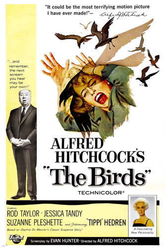 CLASSIC HITCHCOCK The Birds Movie Poster TIPPI HEDREN Psycho Thriller 24X36 - £16.83 GBP