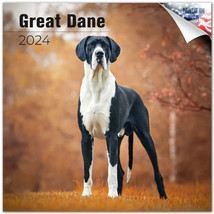 Great Dane Wall Calendar 2024 Dog Animal Pet Lover Gift - £19.34 GBP