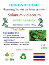 Solanum Violaceum: Potent Herb Berry with Remarkable Health Benefits - $182.08 MXN