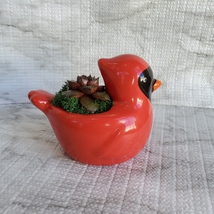 Cardinal Planter with Live Succulent, Holiday Bird Animal Planter Plant Pot image 7