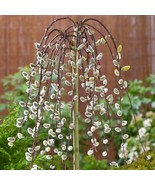 Goat Willow Live Plant In 2.5 Inch Pot Salix Discolor Dormant In Winter ... - $56.04