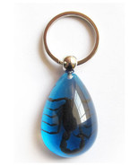 Real BLACK SCORPION Keychain Ring  Genuine INSECT BLUE  Key Chain Keyrin... - £9.31 GBP