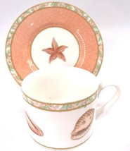 Victoria and Beale Atlantis Cup and Saucer Peach Coral Shells 9044 Porcelain - £7.11 GBP