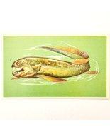 1975 DINICHTHYS Dinosaur Card Vintage Prehistoric Illustration Ephemera ... - $368.02 MXN