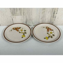 Vintage Woodhaven Collection Stoneware Sunny Brook Salad Plates Lot of 2 - £5.81 GBP