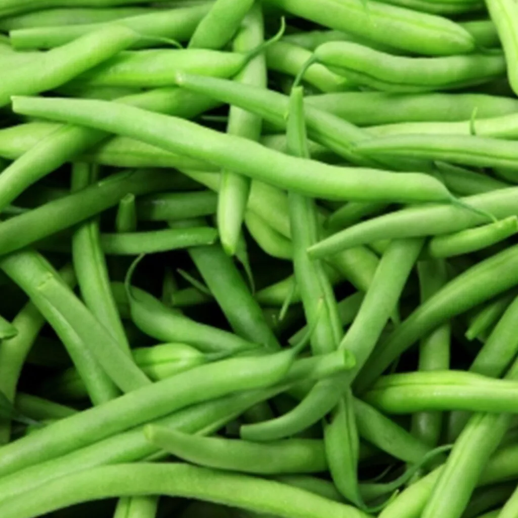Kentucky Wonder Pole Bean Heirloom Vegetable Garden NON GMO 50 Seeds - £7.81 GBP