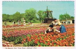 Michigan Postcard Holland Famous Nellis Tulip Farm - £1.54 GBP