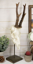 Large 15&quot;H Rustic Roe Deer Buck Head Skull On Museum Pole Stand Base Fig... - $30.99