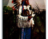 American Indian Photo Collection Tamsin Park Peninsula OH UNP Chrome Pos... - $4.90