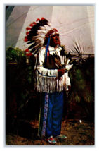 American Indian Photo Collection Tamsin Park Peninsula OH UNP Chrome Postcard R2 - £3.85 GBP