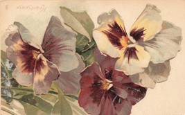 RAPHAEL TUCK &amp; SONS POSTCARD Fair Flowers Series No. 2562 J35 - £7.25 GBP