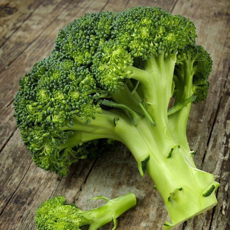 Broccoli Bulbs SD 500 Waltham 29 Broccoli Seeds Non Gmo Fast Grow - Seeds & Bulbs