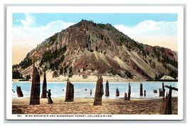 Wind Mountain and Submerged Forest Columbia River Highway OR UNP WB Postcard N19 - £6.31 GBP