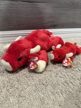 TY Beanie Buddy SNORT the Bull (14 inch) &amp; Beanie Baby W/tags Stuffed An... - $17.99