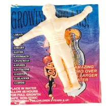 Funny Novelty Magic GROW-a-BOYFRIEND Valentine&#39;s Day Perfect Man Gag Party Favor - £3.69 GBP
