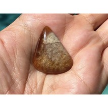 Petrified Fossil Coral Freeform Triangle 25x31mm Cabochon Gemstone for Jewelry - £18.38 GBP