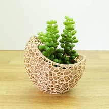 Voronoi Artistic Succulent Planter Vase - £11.28 GBP