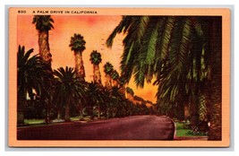 Palm Drive Street View at Sunset California CA Linen Postcard N26 - £1.54 GBP